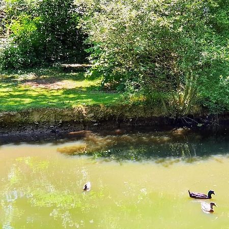 Tout Le Confort Au Milieu D'Un Parc Botanique Noyal-Muzillac Exteriér fotografie