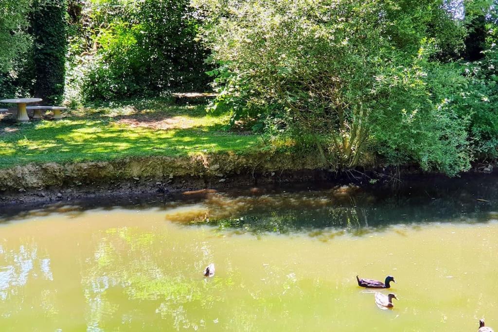 Tout Le Confort Au Milieu D'Un Parc Botanique Noyal-Muzillac Exteriér fotografie